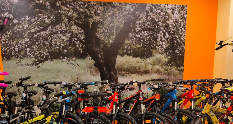 Modern Bikes cycle sells and Service - Guwahati