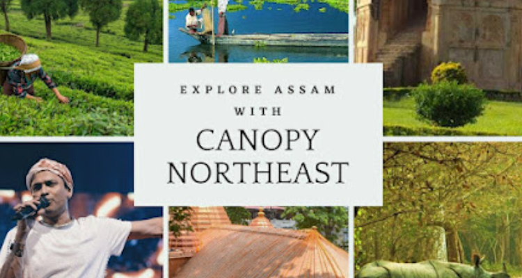 Canopy Northeast- Self Drive Bikes & Cars rental