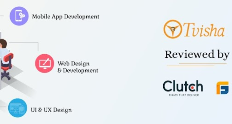 Mobile and Web Application Development Company
