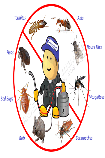 ICS PEST CONTROL SERVICES - Chandigarh