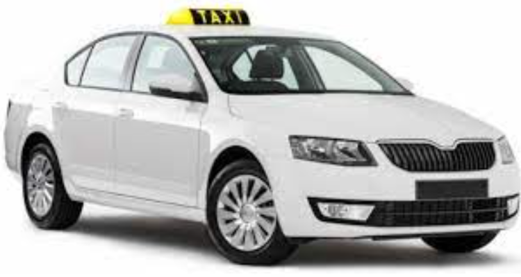 rautela Tour And Travel - Dharanaula, Palari Garh