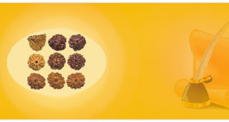 Bajpai's Astrology & Vastu Consultant