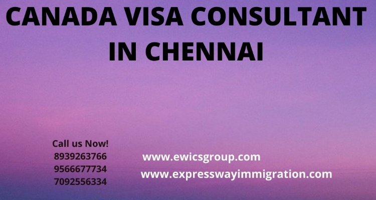 Expressway Immigration Consultancy Service