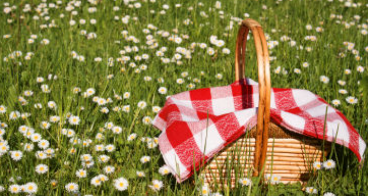 Aloha Resort - Rishikesh