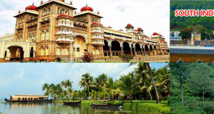 Friends Track Call Taxi