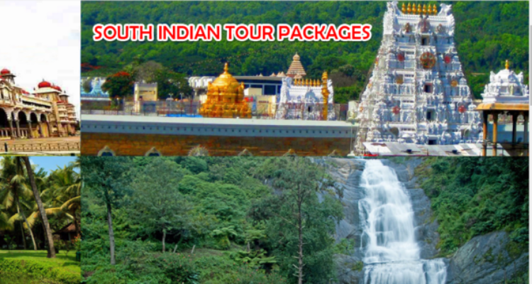 Friends Track Call Taxi