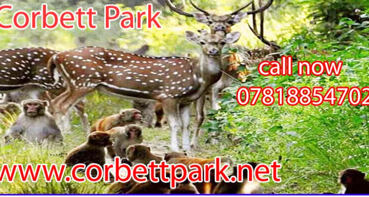 Corbett Park