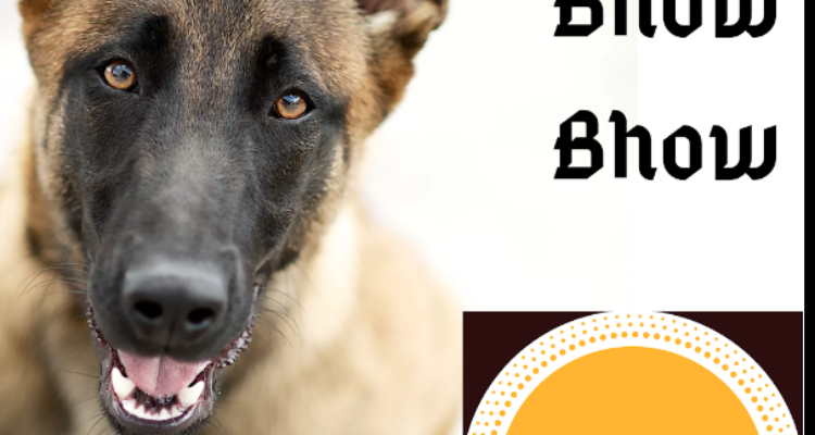 Pet Shop Dog Breeder Dog Hostel