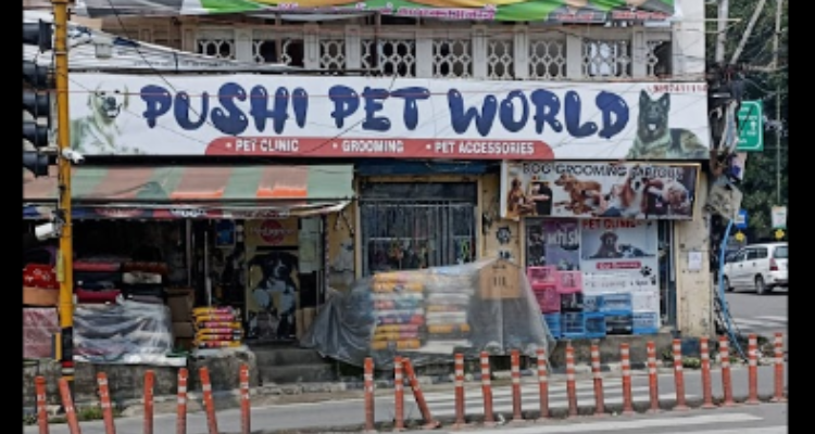 ssPushi Pet World