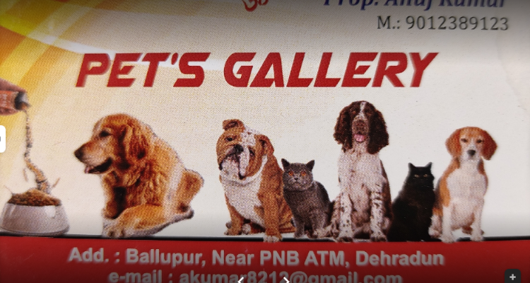 Pet's gallery , Dehradun