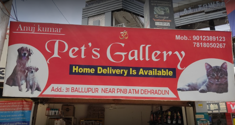 Pet's gallery , Dehradun