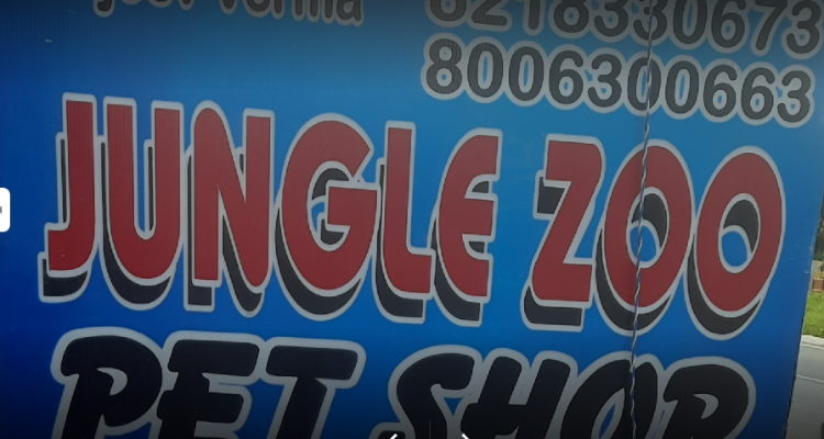 Pet shop in dehradun - Jungle zoo Pet shop & Aquarium