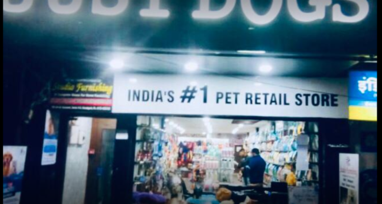 Just Dogs, Rajpur Road, Dehradun