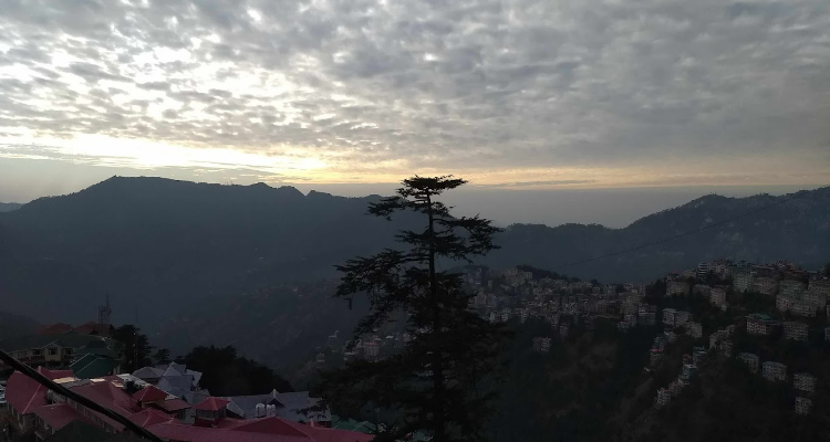 Viaggio Rentals , Shimla