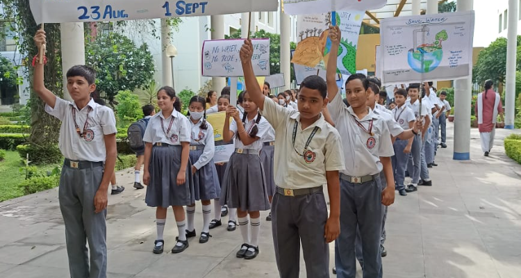 DSB Internation school