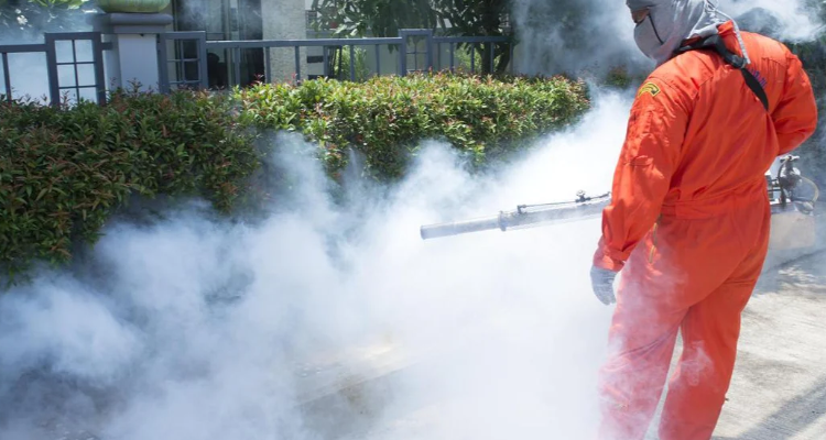 OPTIMAX PEST MANAGEMENT SERVICES