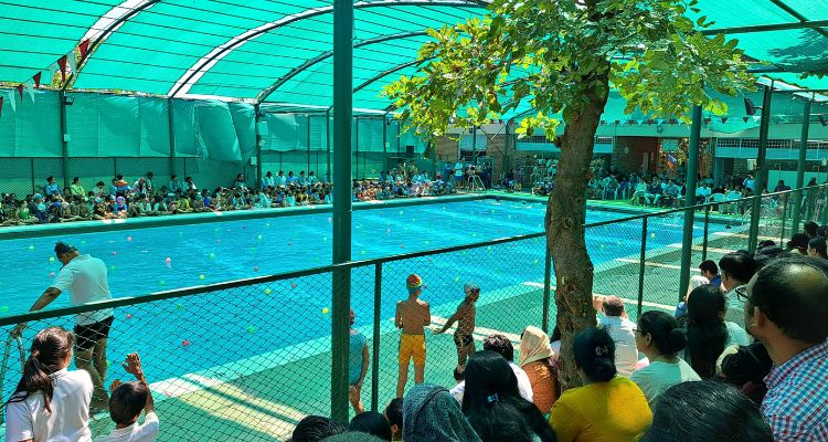 Shreyas Swimming Pool