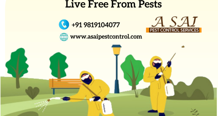 ssA Sai Pest Control