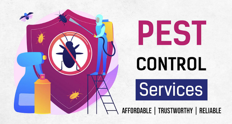 ssLifecare Pestcontrol Service