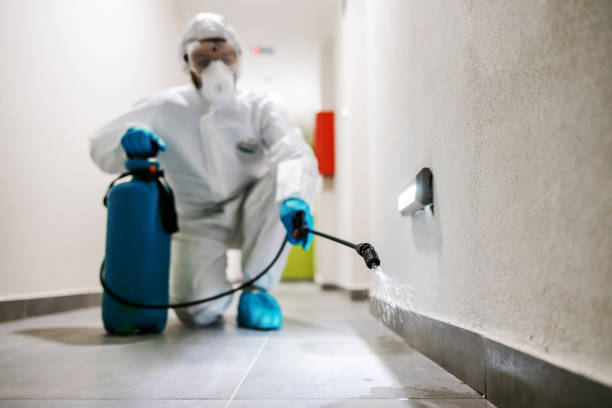 DK PEST CONTROL SURAT