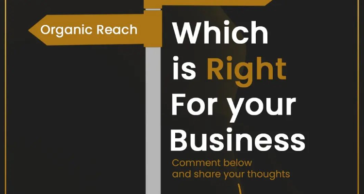 The Digital Socialite