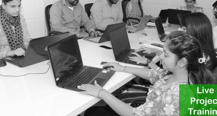 PIIM (Punjab Institute of Internet Marketing)