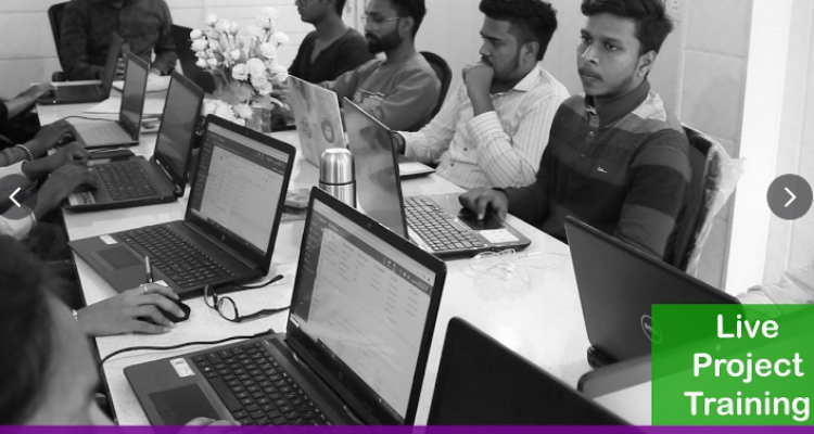 PIIM (Punjab Institute of Internet Marketing)