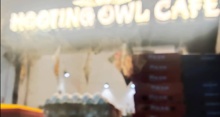 ssHooting Owl Cafe