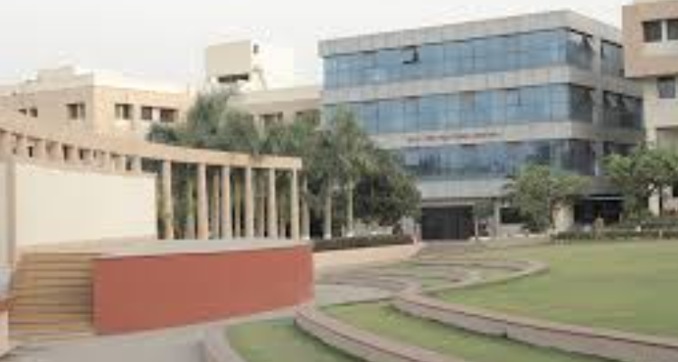 DY Patil Internation University
