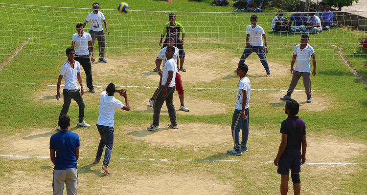 DD Group of Institution