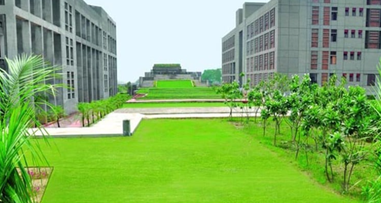 Master School Of Management