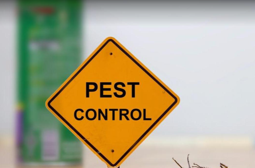 Laxmi Pest Control Service Allahabad