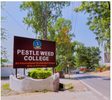 The Pestle Weed School  mussoorie
