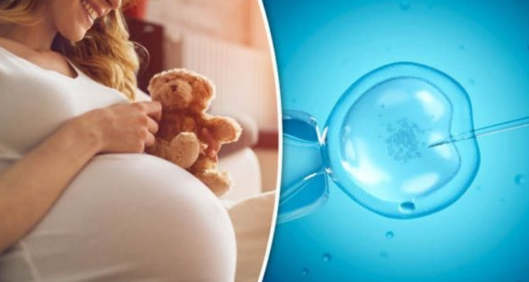 GBR Fertility Centre