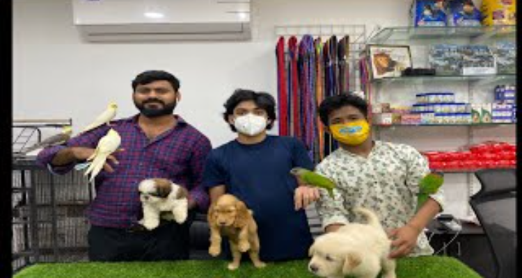 best pet shop ion assam