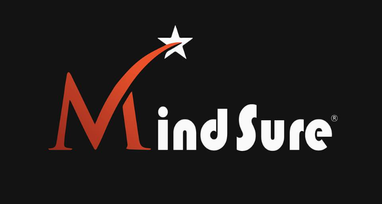 MindSure - Tax Consultancy