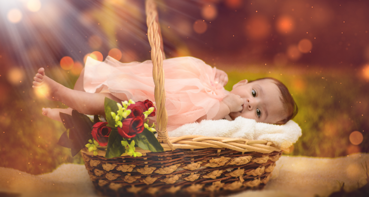 The Still Story Studio