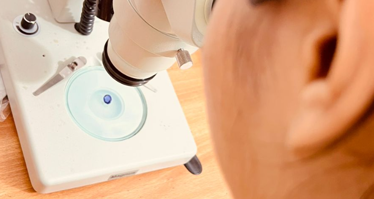 Trayambkeshwar Gems and Rudraksh Research and Training Institute