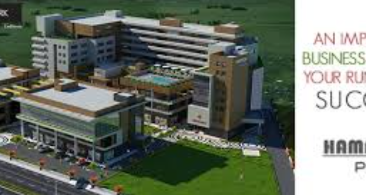 Ritesh Properties and Industries Ltd