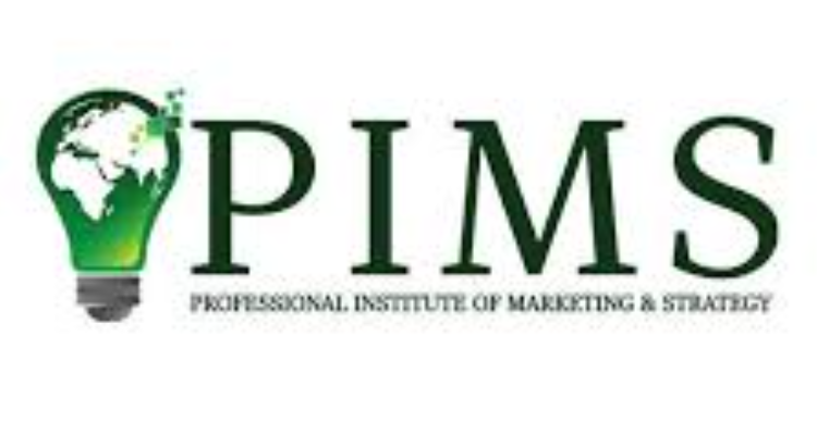 PIMS Digital Marketing Course Institute
