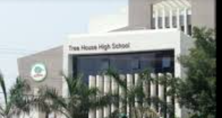 Tree House High School