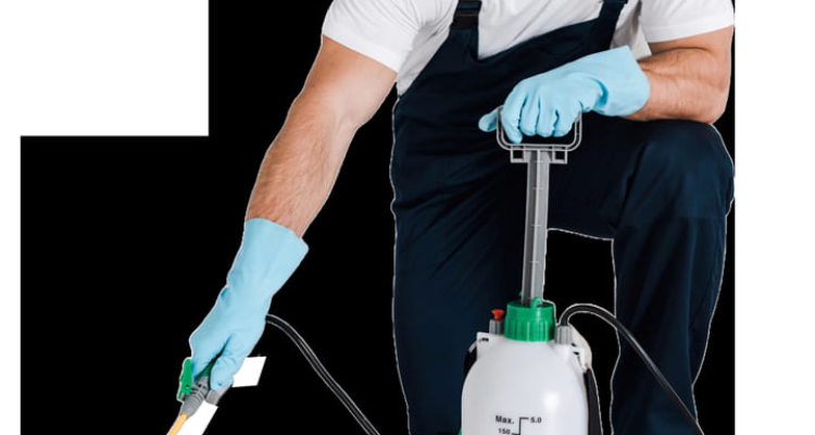 REX-ENVIRONMENT SCIENCE