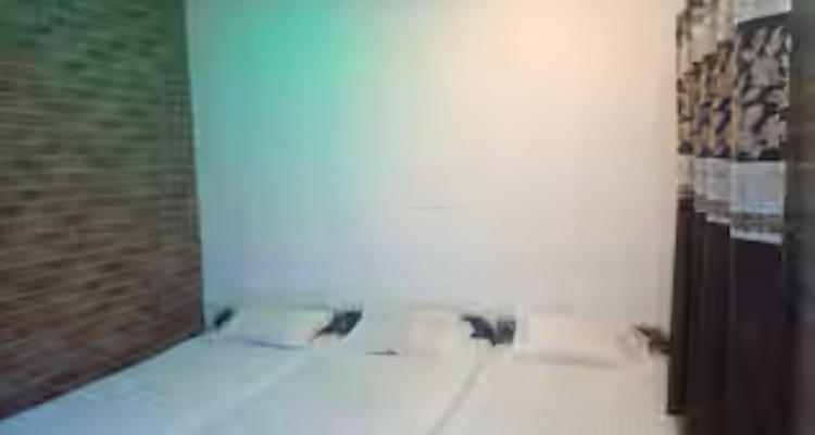 Hotel Green View Inn