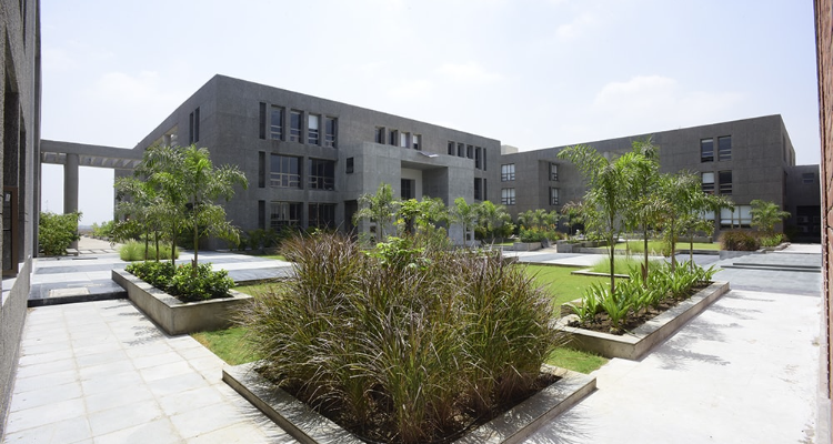 P P Savani University