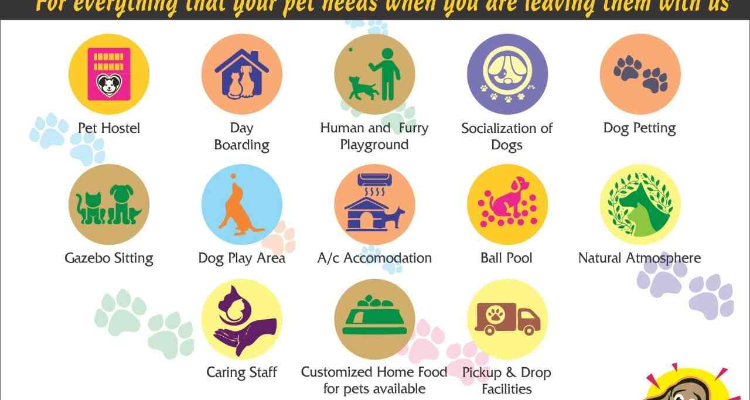 open arms pet hostel