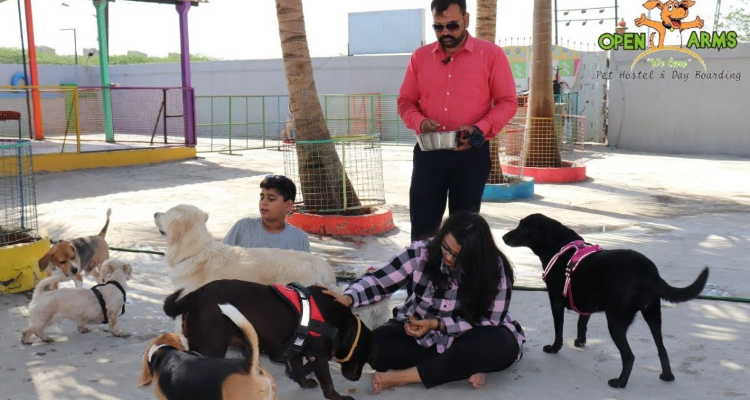 open arms pet hostel