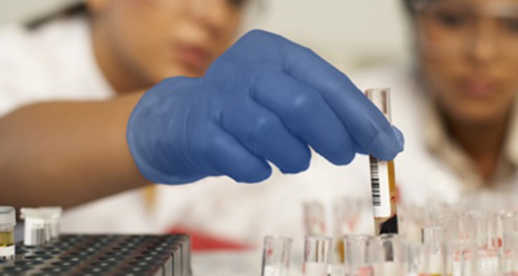 Yash Diagnostic Solutions in Indore