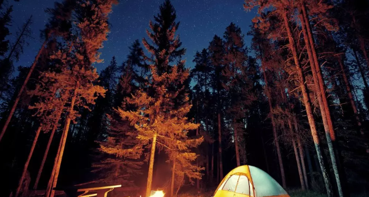 Foliageoutdoors Kothrud Pune