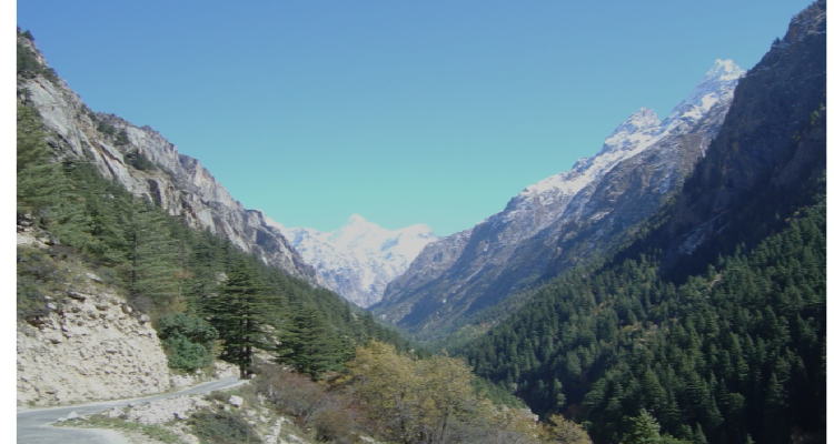 Laxmi Tour and Traveling Service