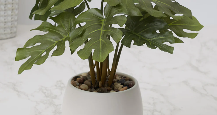 HomeTown Furniture and Decor